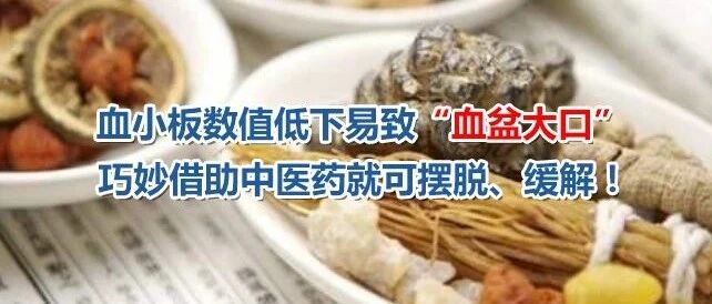 血小板减少口腔易出血，巧用中药即可有效止血！