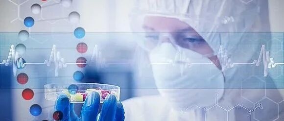 过敏性紫癜怎样才算好转？可通过这几个方面判断！