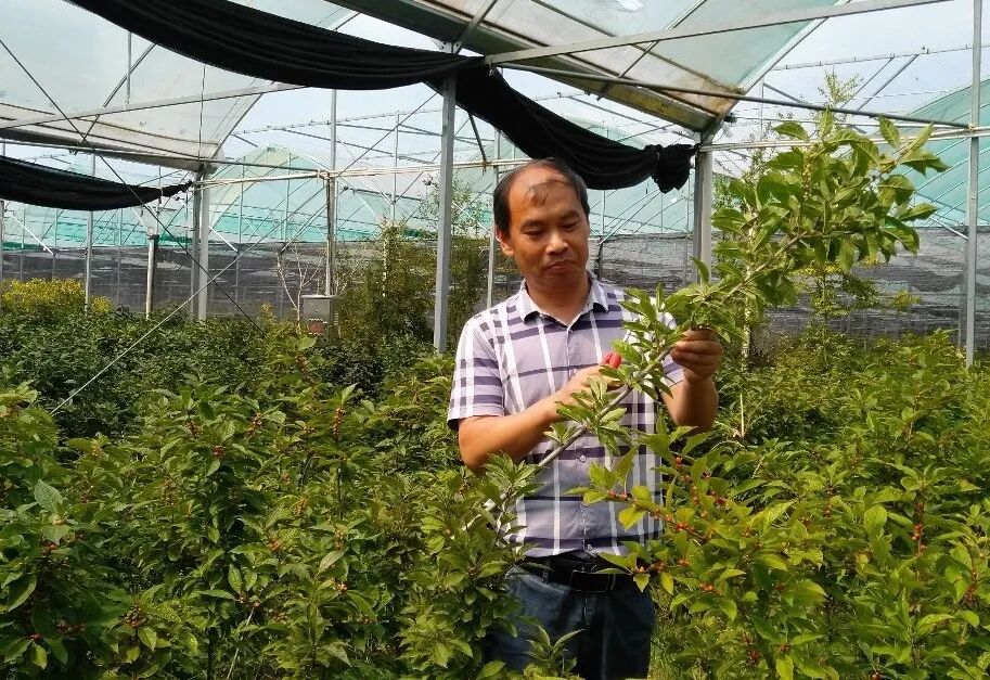 杭州润土园艺科技有限公司