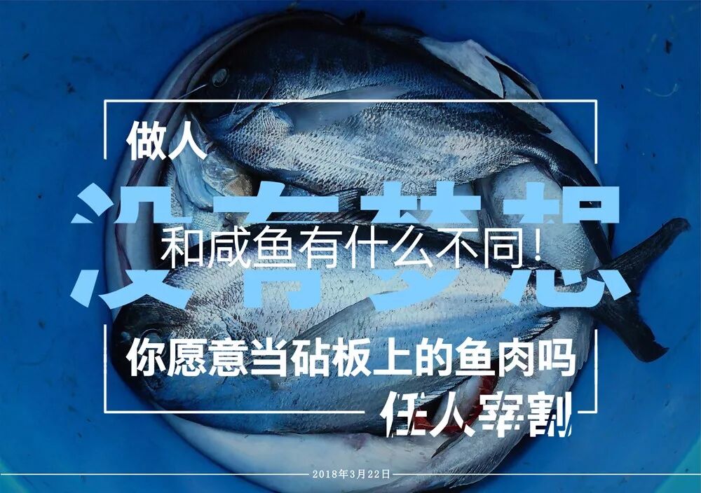 早安华莱人，正能量分享给你你