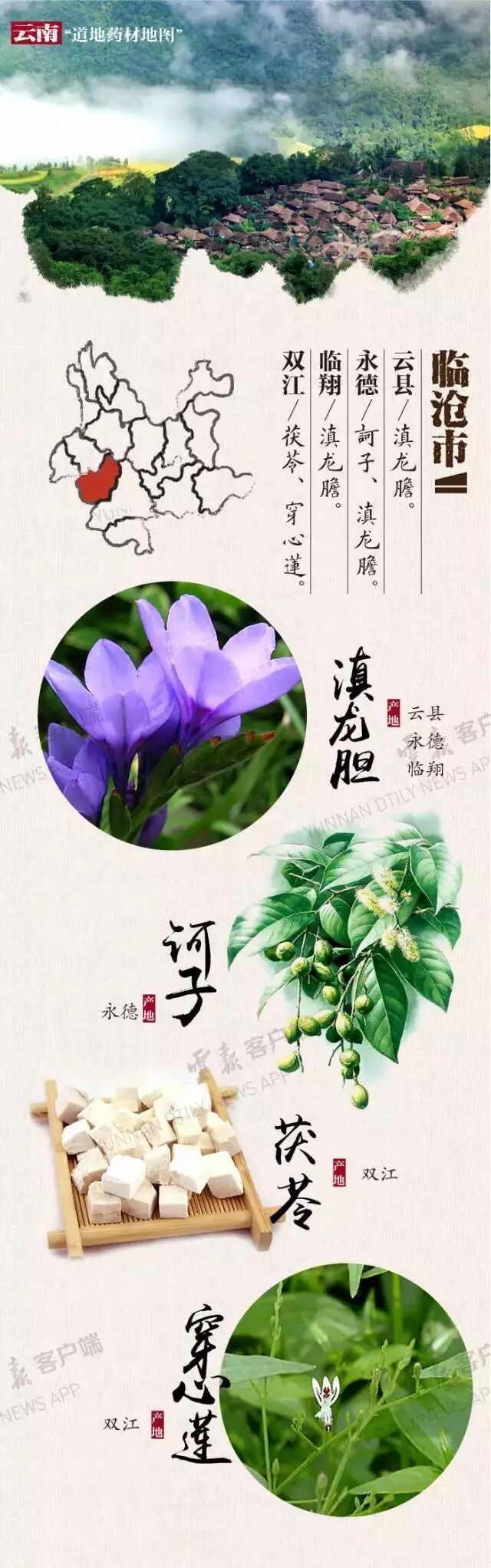 云南16州市药材地图出炉!你的家乡哪种药材上榜