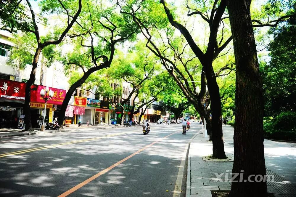 环城西路属于哪个区_环城西路派出所_环城西路