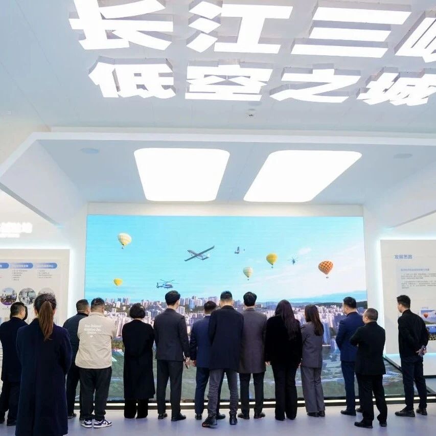 重庆市潼南区青年商会