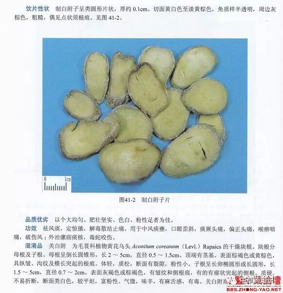 中药材：白附子