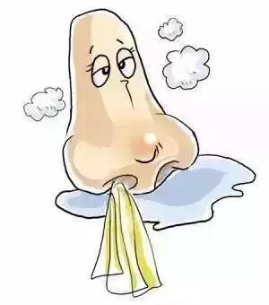 告别“缠人”的鼻窦炎！