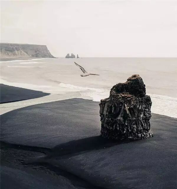 华莱人余生，不将就，不放弃