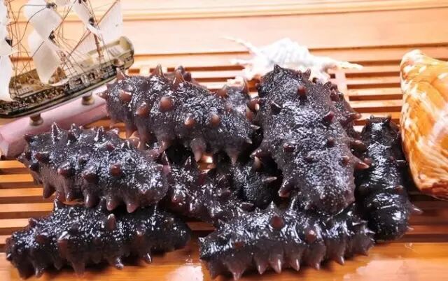 关于海参，你所不知道的那些事~