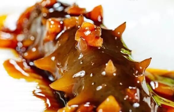 海参不可替代的食疗功效！不看不知道！但吃法要注意，可别浪费哦