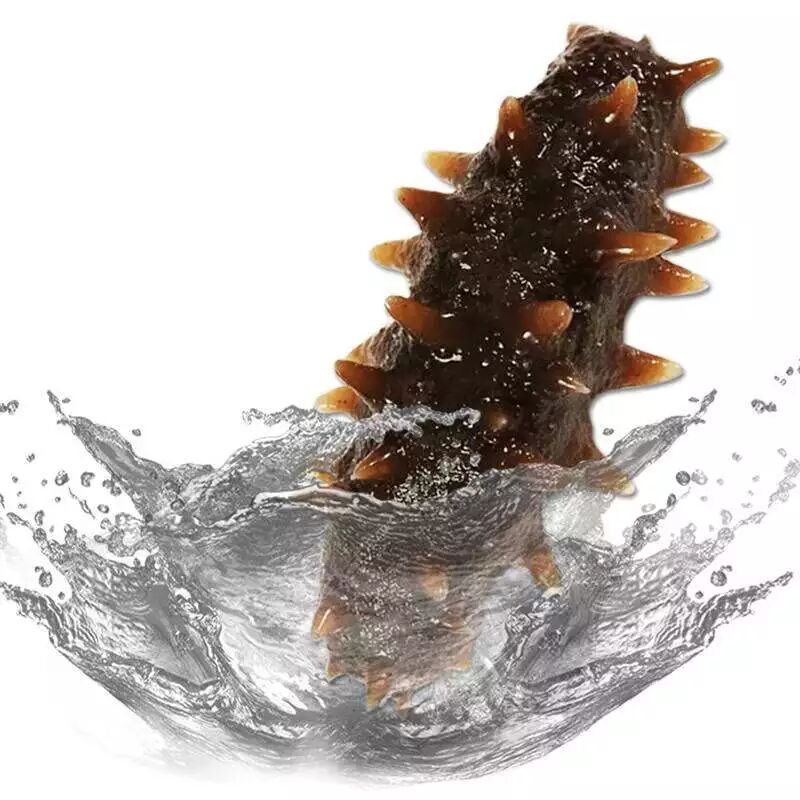 千年滋补经典，海参当之无愧！