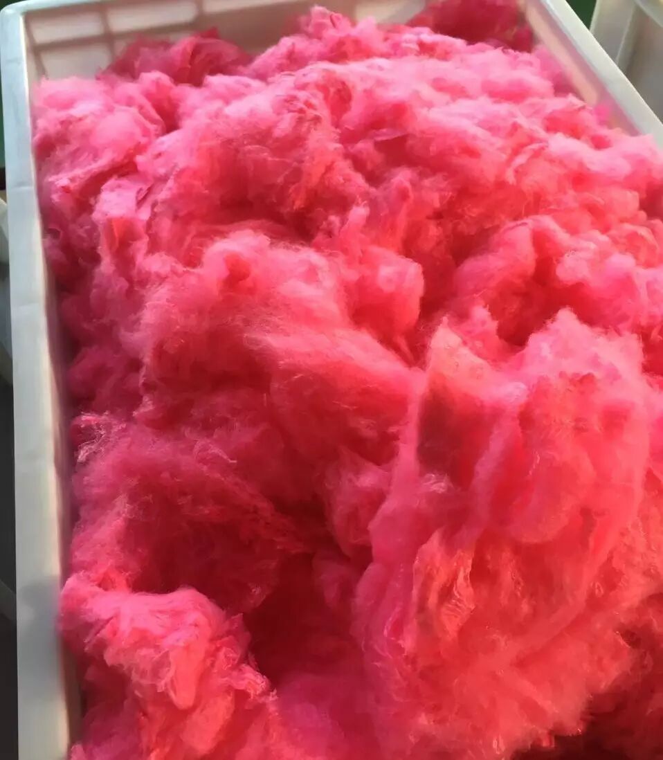 现场|百名专家,企业家围观"超临界二氧化碳无水染色"项目,绿色纺织