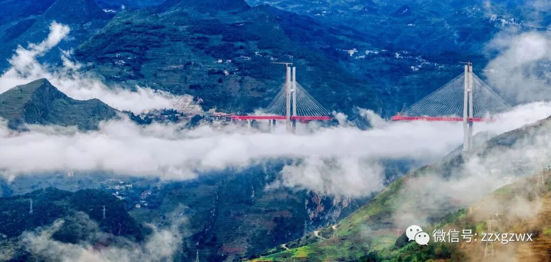 �ι���|���š��ƹ�����ʵĲʺ�