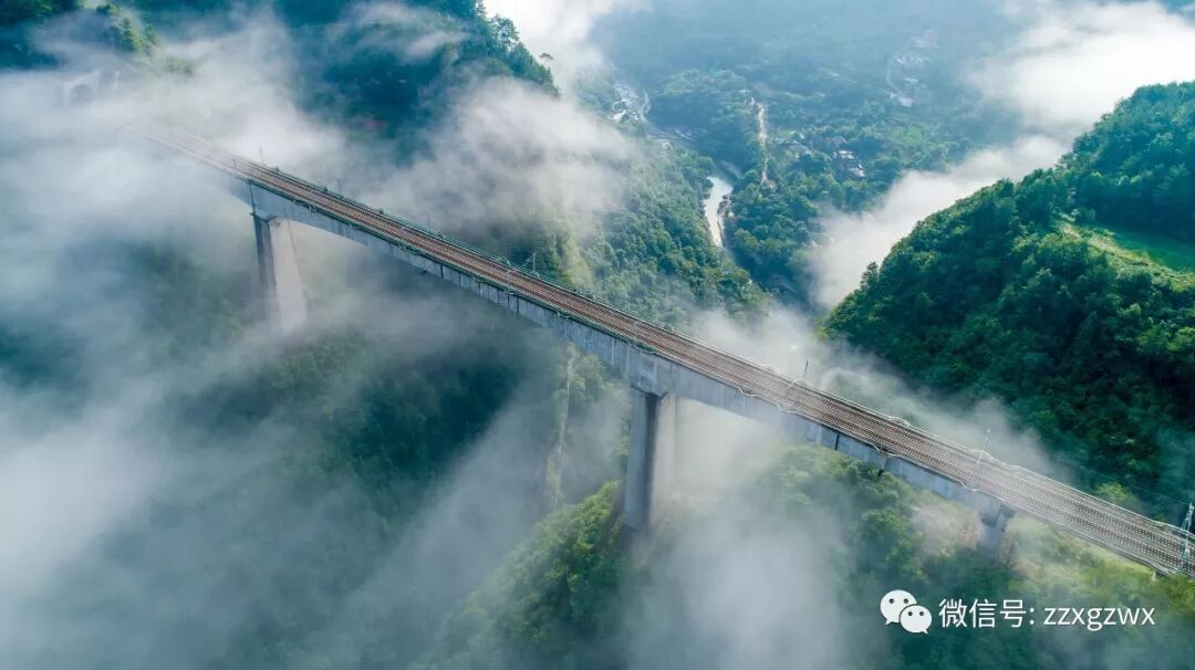 �ι���|���š��ƹ�����ʵĲʺ�