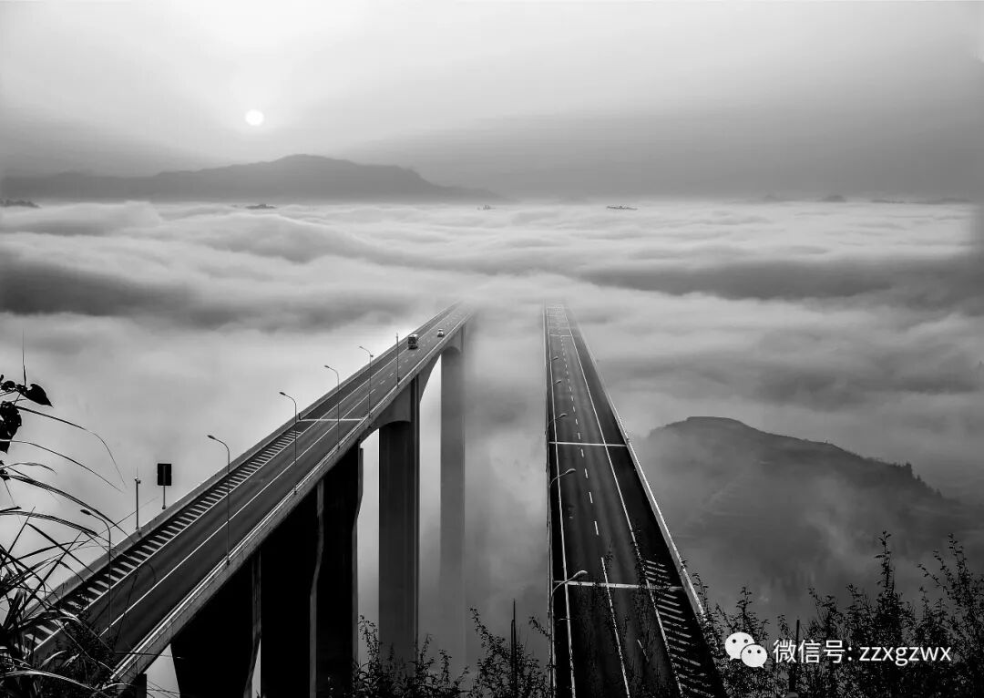 �ι���|���š��ƹ�����ʵĲʺ�