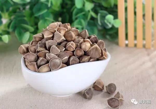 辣木籽是柬埔寨的特产之一,许多来柬埔寨的游客,回去