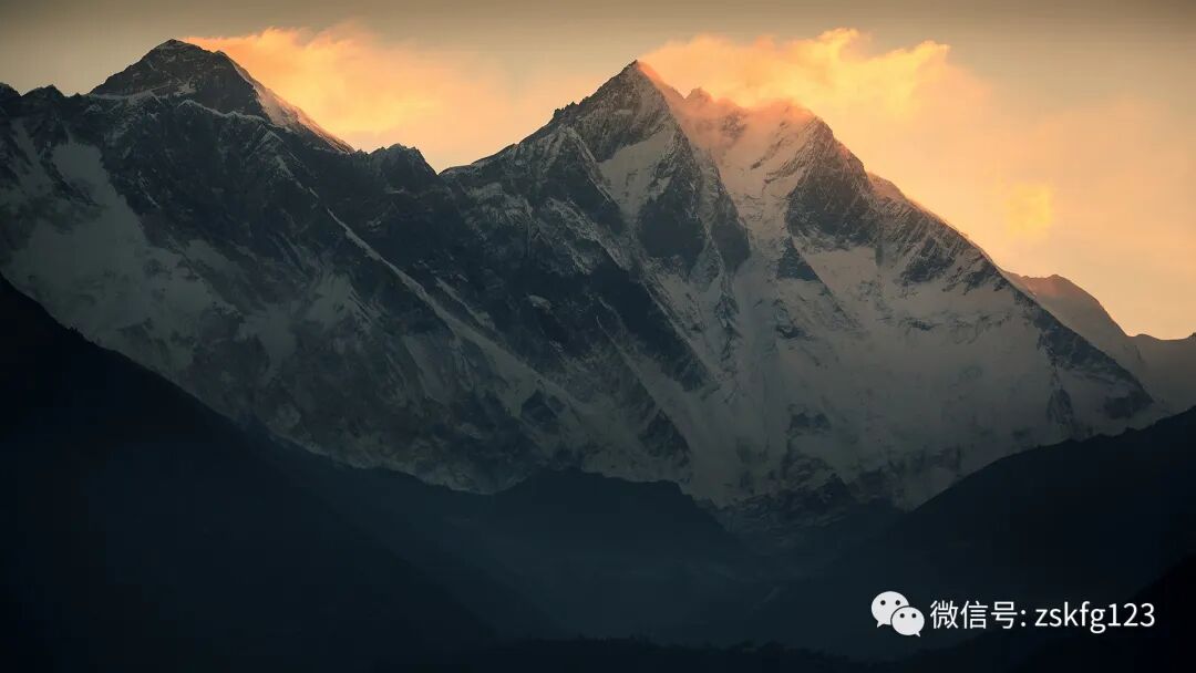 小柴胡：仲景先生的“万能神方”，把它用好了你就是半个医生了！