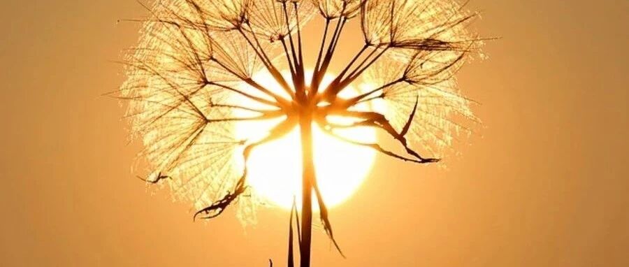 有这些技能的老师，将来才不会被淘汰！临近开学，提升自己！