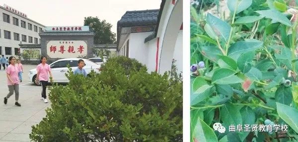 未标题-8-01_看图王.jpg