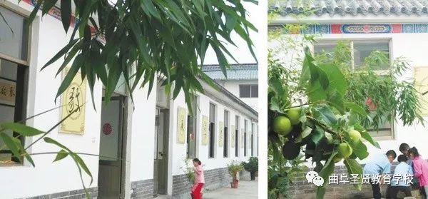 未标题-6-01_看图王.jpg