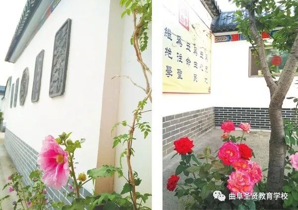 未标题-3-01_看图王.jpg