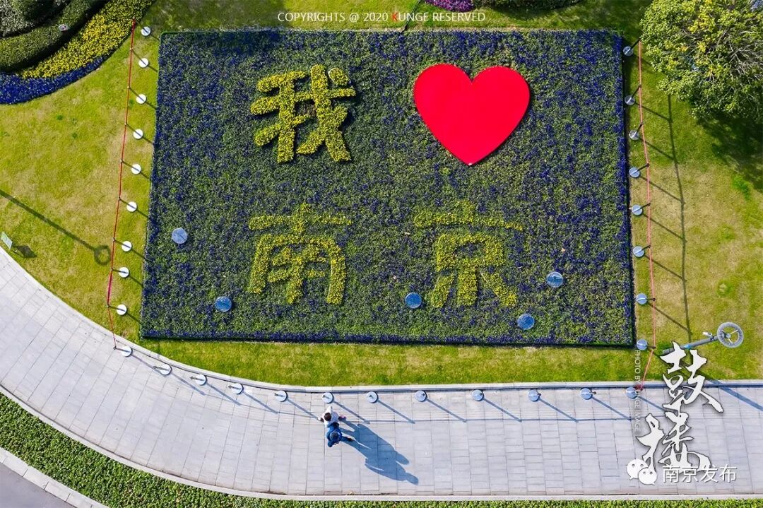 南京培训机构创业项目_南京培训英语6级机构_南京创业项目