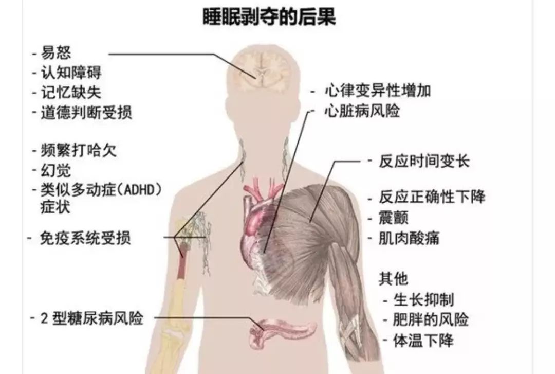 27歲二胎媽媽，通宵玩手機猝死：早睡，是最難的自律 科技 第23張