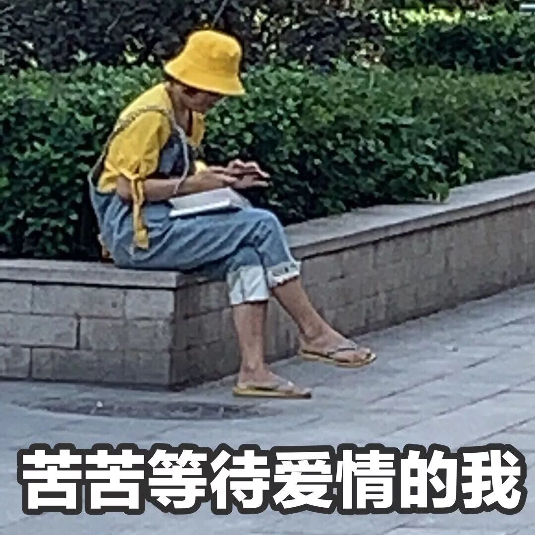 英文遛狗怎么说音标_英语遛狗的短语_遛狗英文