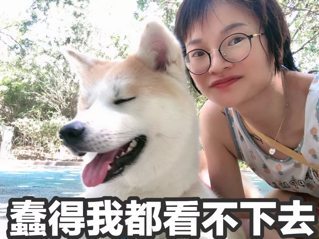 英语遛狗的短语_遛狗英文_英文遛狗怎么说音标