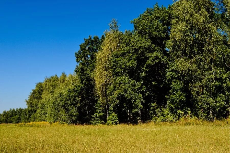 无论多难，也要告诉自己再坚持一下！