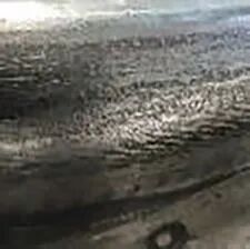 PVD 镀层在热冲压模具中的应用的图6