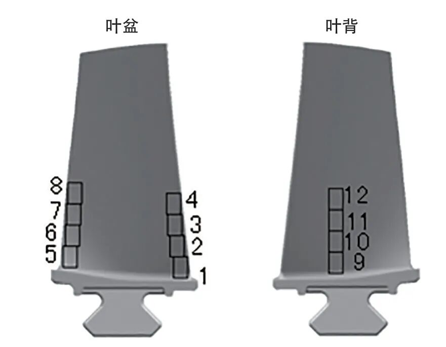 葉身表面條帶對葉片振動疲勞性能影響分析的圖3