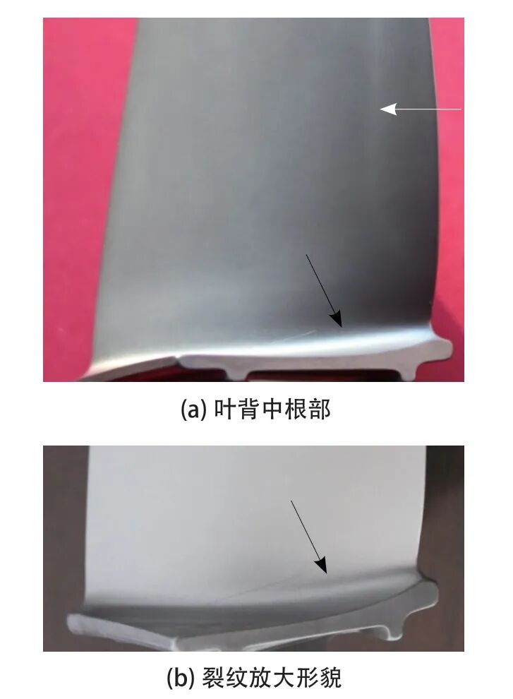 葉身表面條帶對葉片振動疲勞性能影響分析的圖9