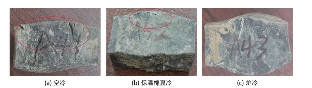 TiAl4822 合金锻造工艺参数的研究的图2