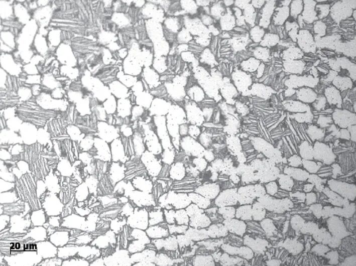 锻造温度对TC25 钛合金锻件组织及性能的影响的图5