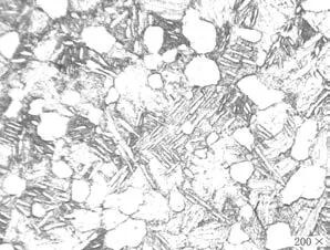 Ti60 高温钛合金环件组织性能与分析的图9