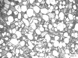 Ti60 高温钛合金环件组织性能与分析的图11