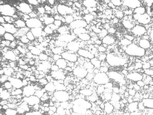 Ti60 高温钛合金环件组织性能与分析的图7