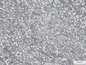 Ti60 高温钛合金环件组织性能与分析的图3