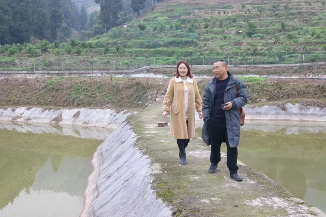 致富经泥鳅养殖_致富养殖泥鳅图片_致富养殖泥鳅视频