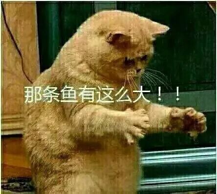 佳钓尼渔具幸好多认识一种鱼关键时刻还能靠它续命