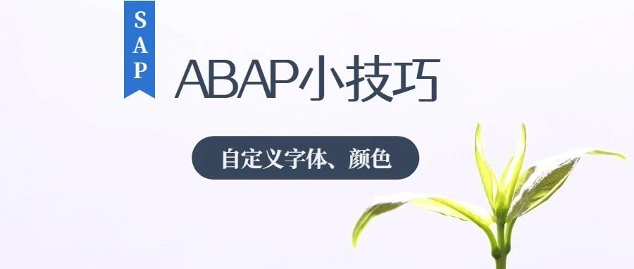 编辑器自定义字体和颜色 - 封面图