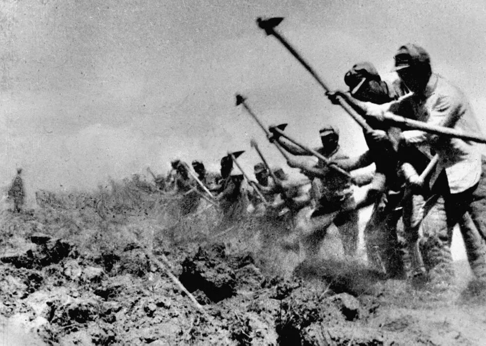 新华社专题刊发南泥湾生态革命营造更美江南