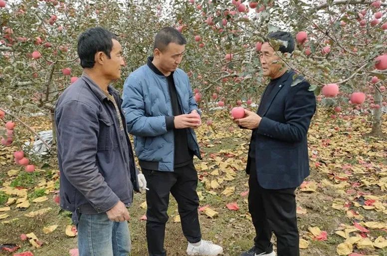 宜川县云岩镇图片