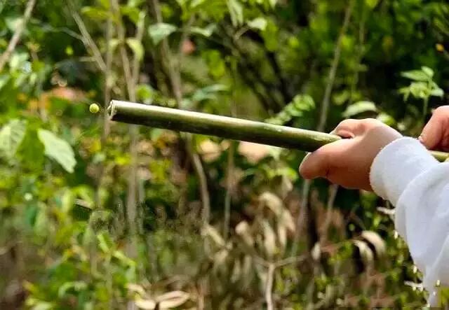 满满都是回忆｜恭城农村孩子都玩过的自制神器！218 / 作者:蒋妹妹啊 / 帖子ID:241260