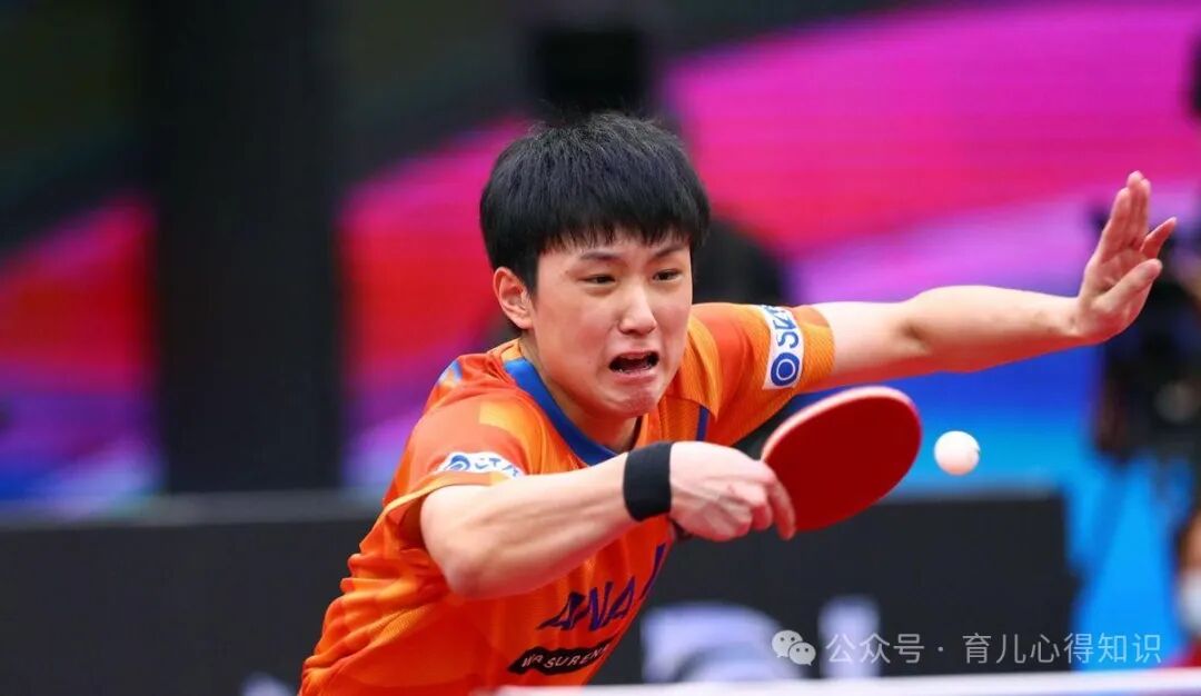 aed在日本怎么购买张本智和父亲崩溃：希望国内人不要骂我儿子，我们在日本很受尊重_https://www.jmylbn.com_新闻资讯_第7张