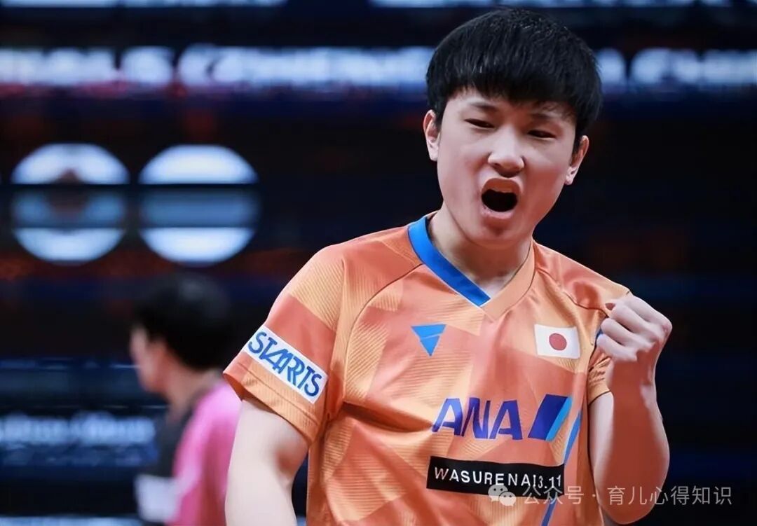 aed在日本怎么购买张本智和父亲崩溃：希望国内人不要骂我儿子，我们在日本很受尊重_https://www.jmylbn.com_新闻资讯_第12张