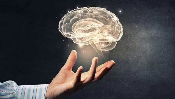 全脑开发成为教育发展大趋势？