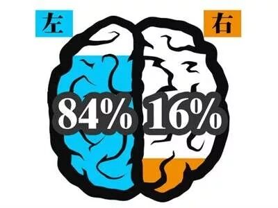 引爆大脑潜能，提高学习效率