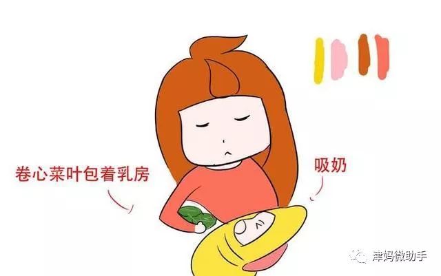 土豆片敷乳房步骤图图片