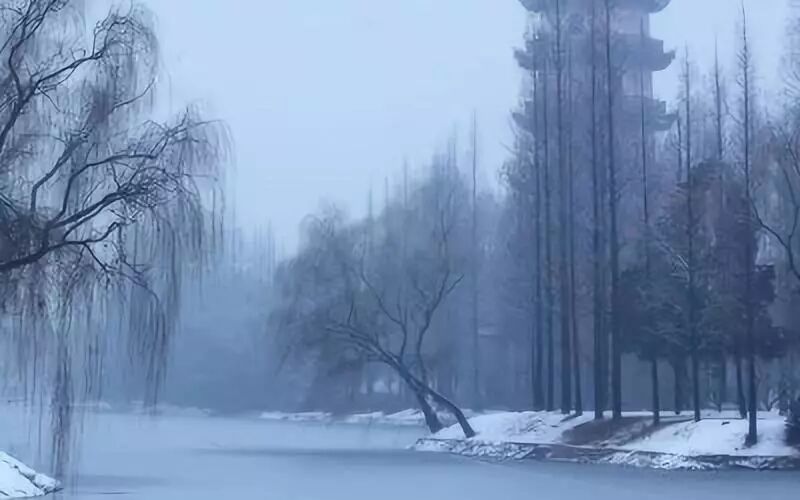 望余雪终南望余雪_终南望余雪古诗的意思_雪望的意思