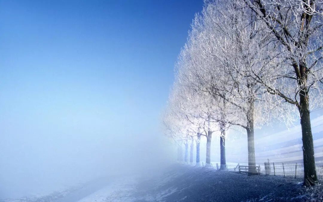 雪望的意思_终南望余雪古诗的意思_望余雪终南望余雪